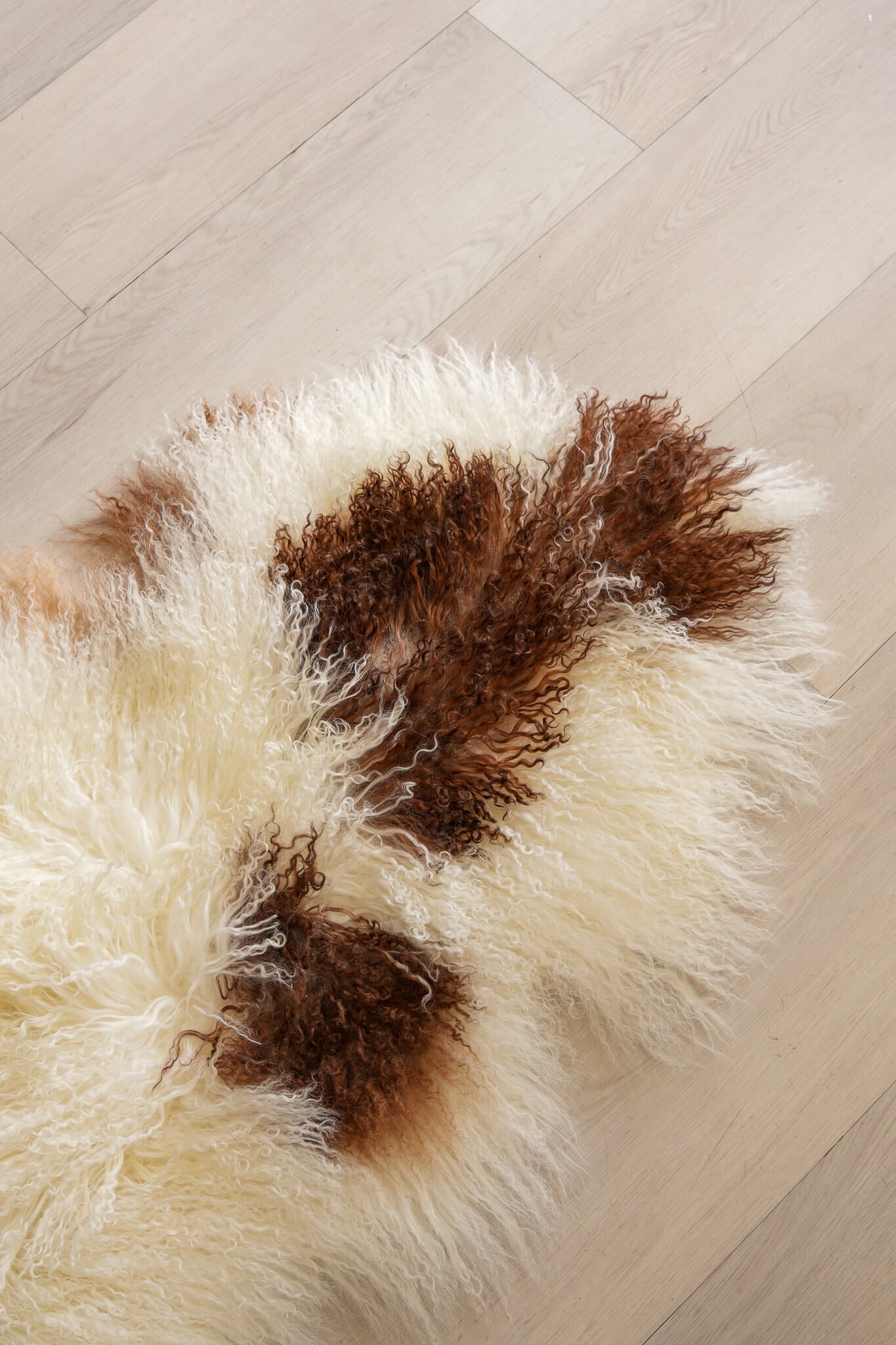 Sheepskin (Long Curley - Natural)