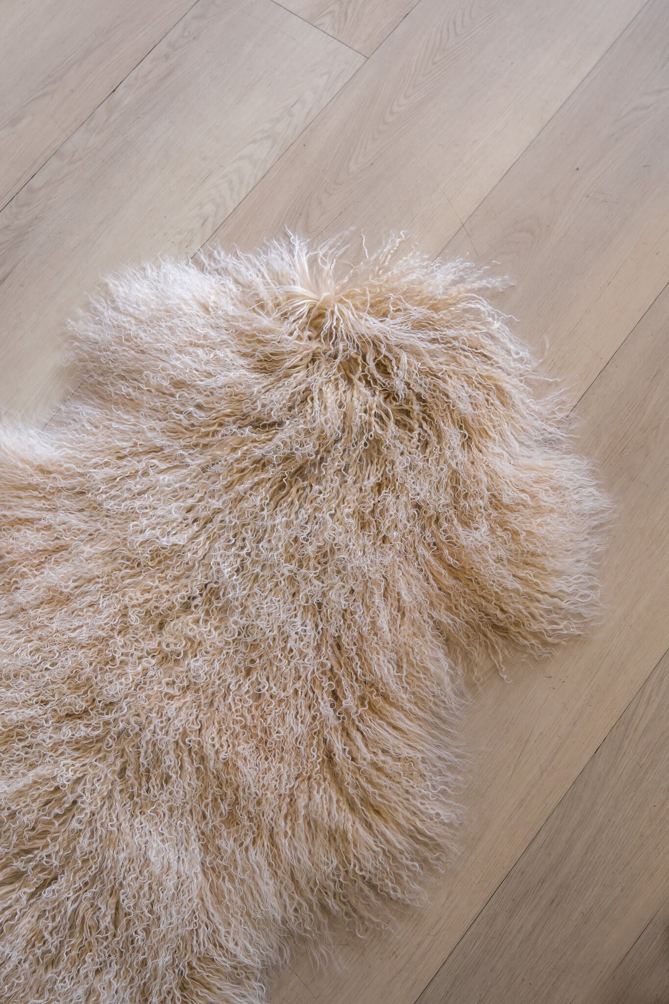 Sheepskin (Long Curley-Plain)