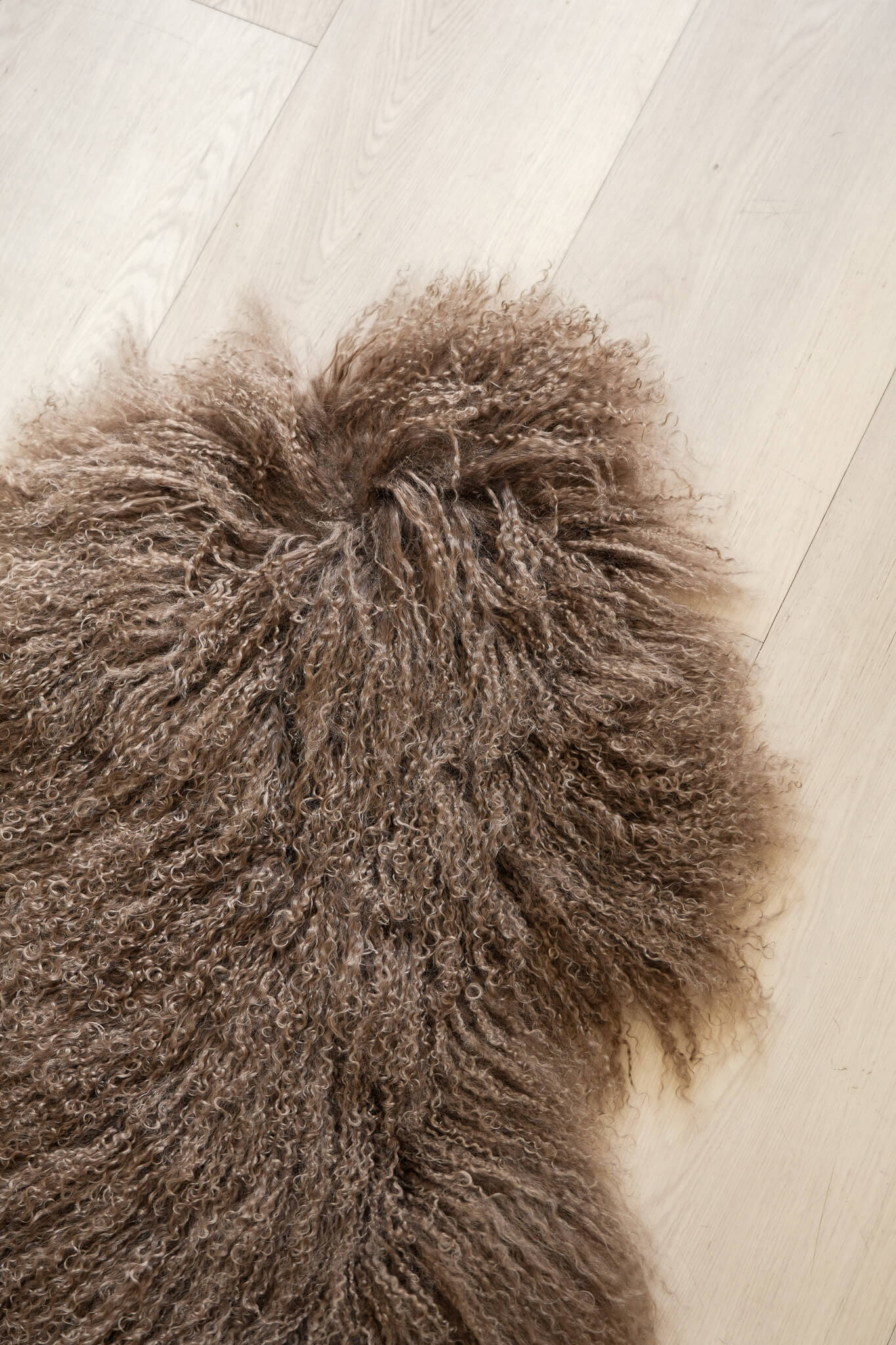 Sheepskin (Long Curley-Plain)