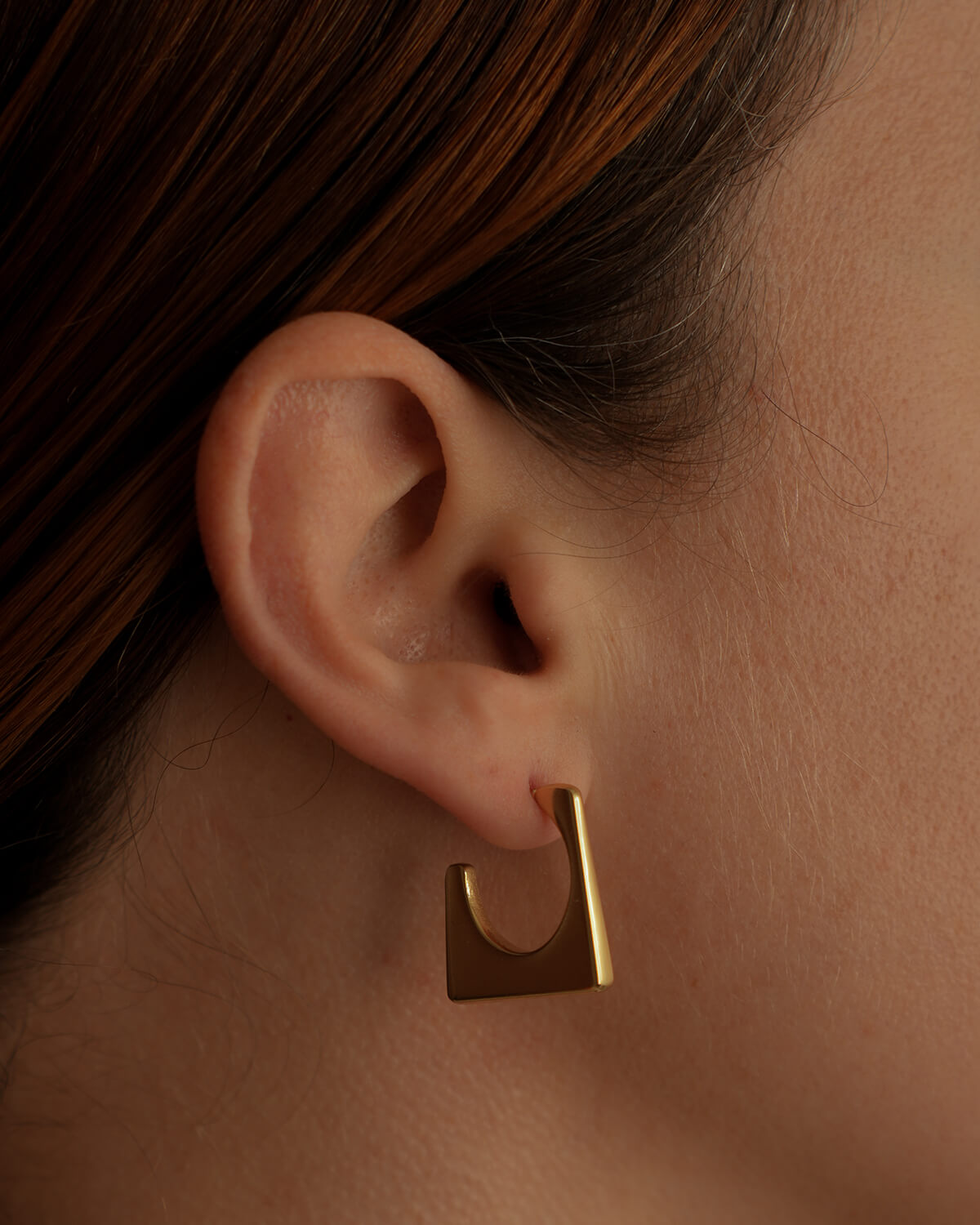 Celine Earrings