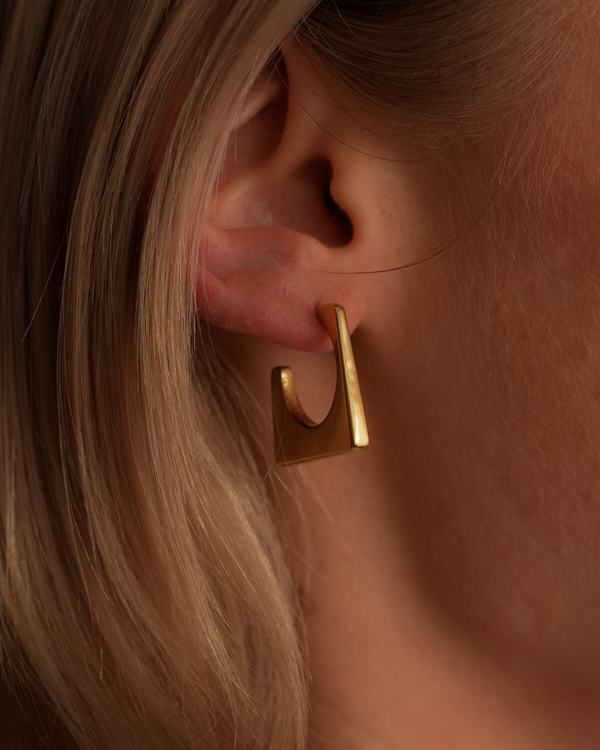 Celine Earrings