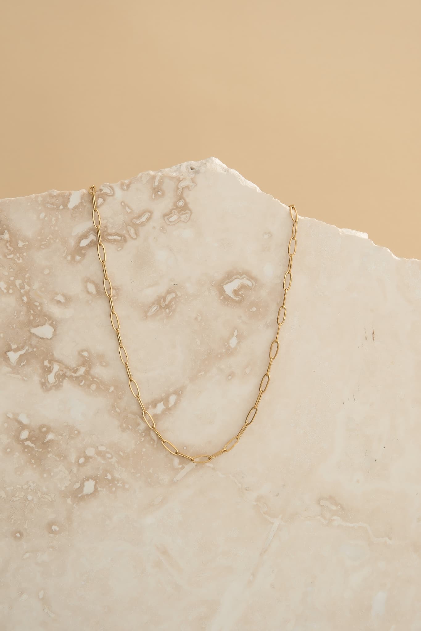Eve Paperclip Necklace