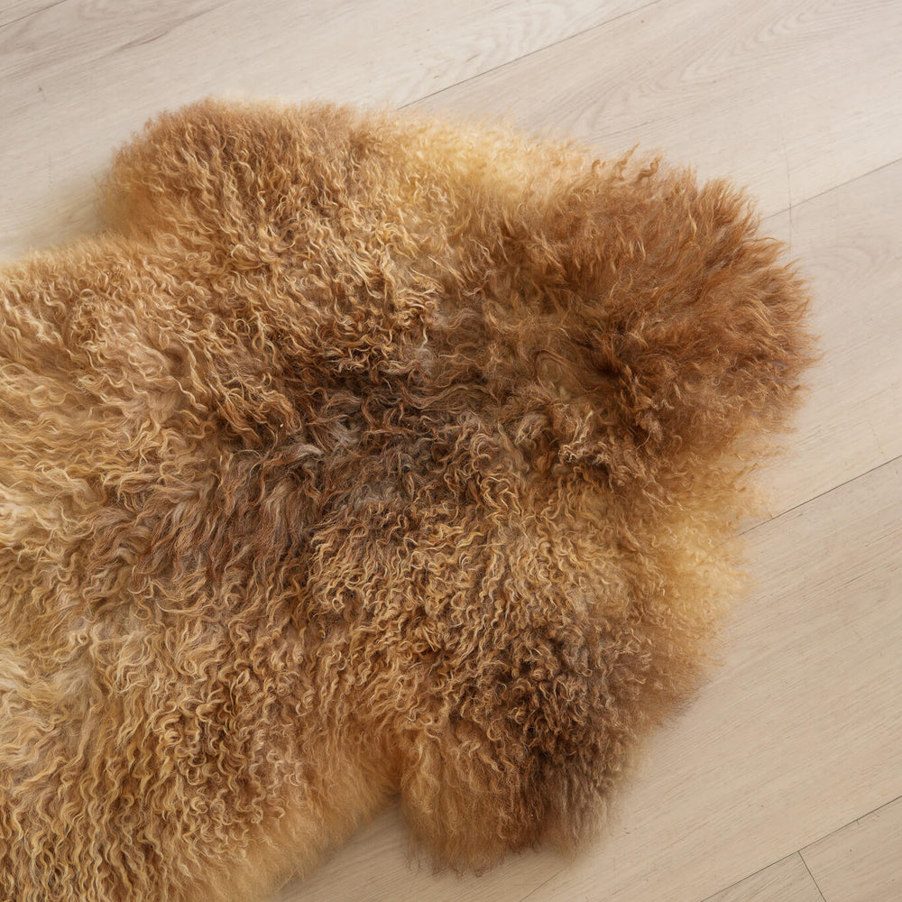 
                      
                        Sheepskin (Long Curley - Natural)
                      
                    