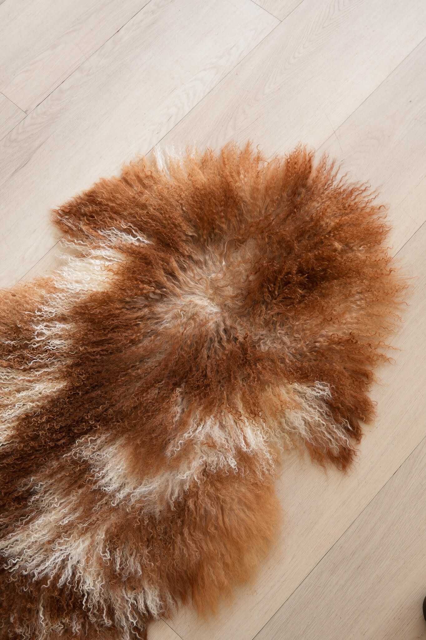 Sheepskin (Long Curley - Natural)