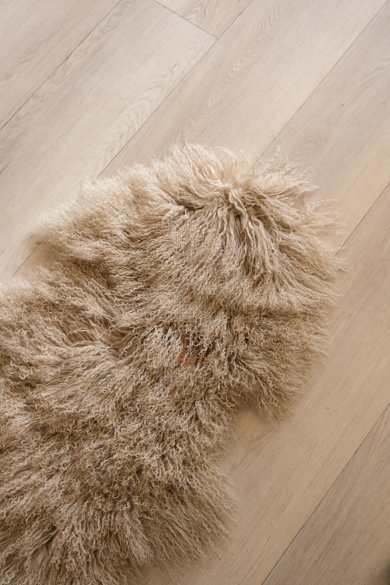 Sheepskin (Long Curley-Plain)