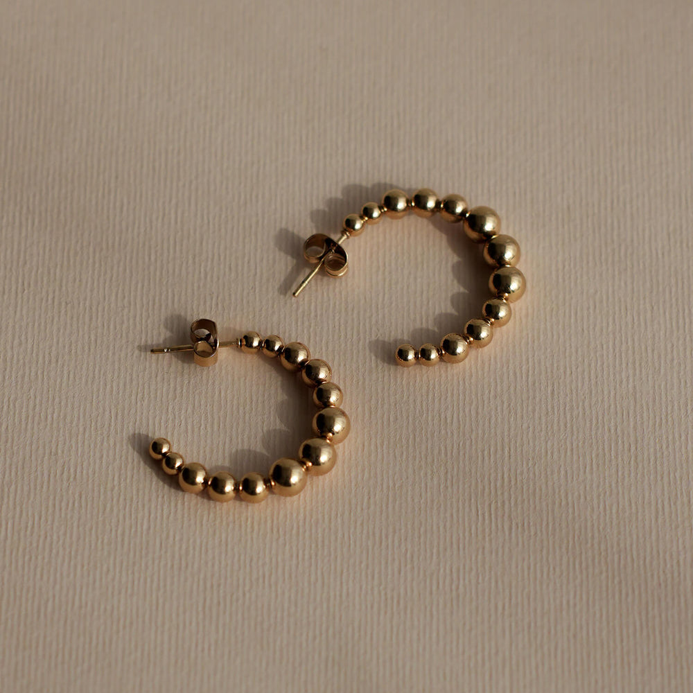 
                      
                        Leo Hoops
                      
                    